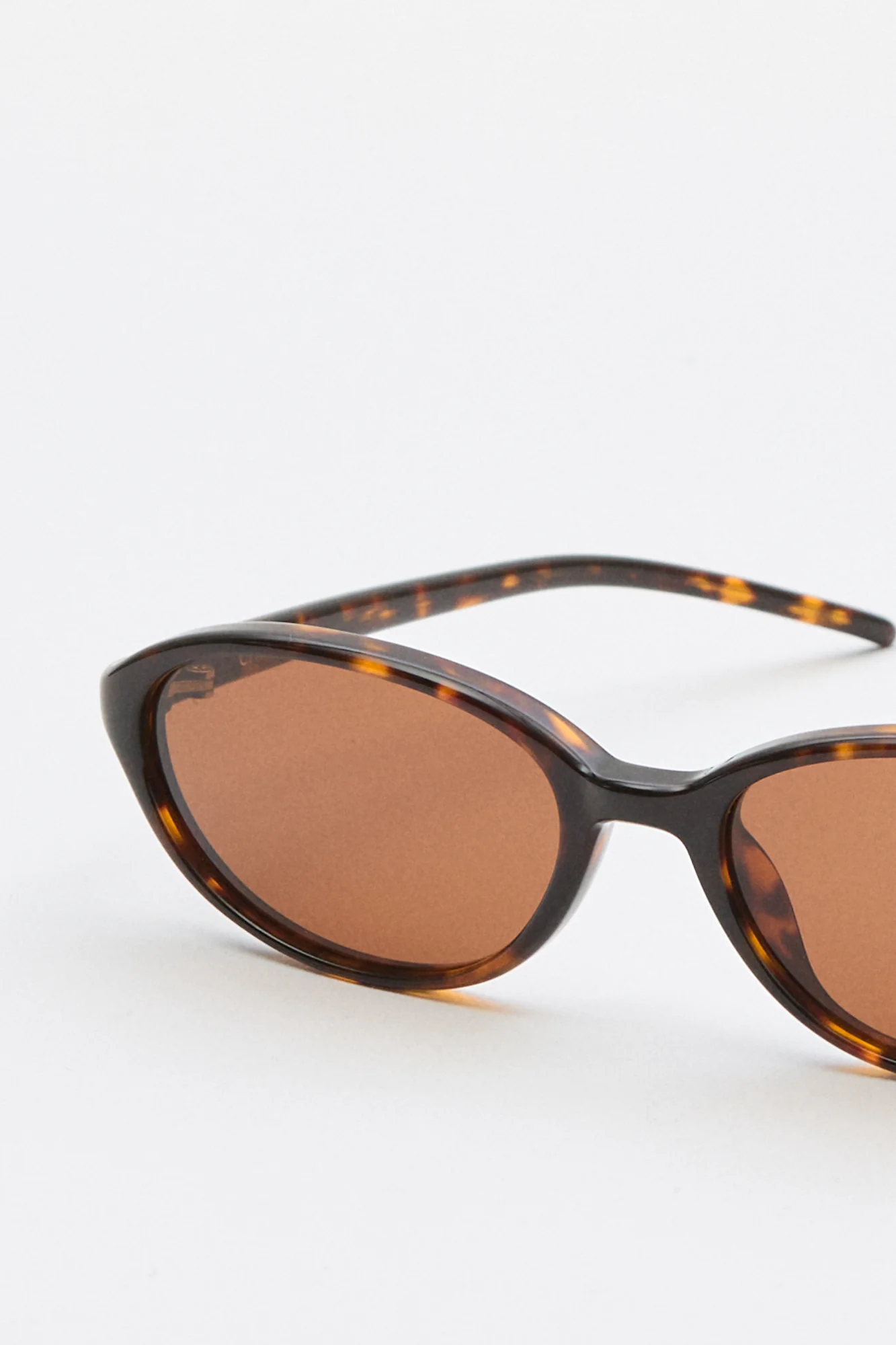Elipse Tortoise - Image 2